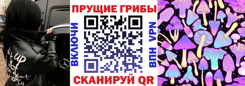 Галлюциногенные грибы Psilocybe Людиново